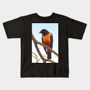 Hildebrandt's Starling, Serengeti, Tanzania Kids T-Shirt